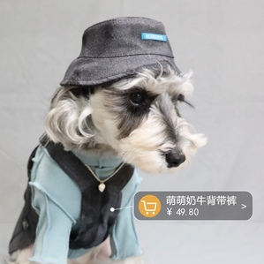 Cow fisherman pet straw hats, spring and summer Teddy British short sun protection accessories