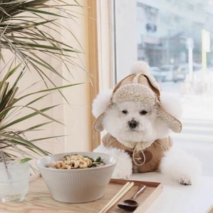 Autumn and winter plush pet hats Teddy Bichon warm headdress with exposed ears