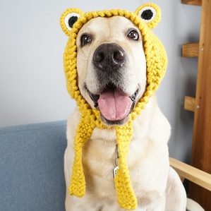 Plush frog pet headgear, golden retriever Labrador cute
