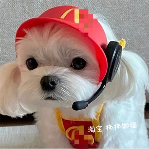 Meow Donald's disguise pet headgear, dog and cat photo props