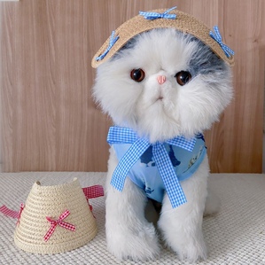 Straw exposed ear pet sun hat, Teddy Bichon summer outing