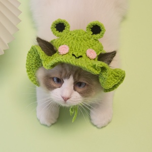 Same style funny knitted hat, cat and dog photo accessories