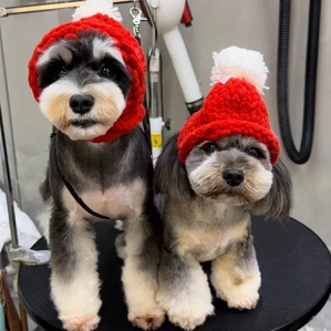 Autumn and winter wool pet Christmas hat, cat and dog New Year funny Little Red Riding Hood