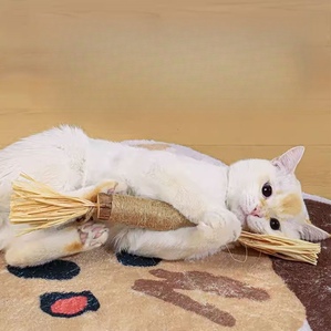 Giant wood tianjiao toy catnip teething and boring stick