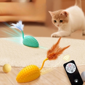 Video display of products