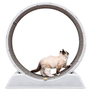 Silent cat treadmill, plastic fitness running wheel