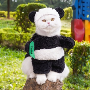 Pet Panda Standing Transformation Costume Funny and Funny Costume