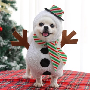 Christmas Pet Standing Snowman Transformation Costume