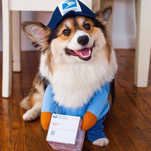 Funny Express Transformation Costume Halloween Pet Decoration