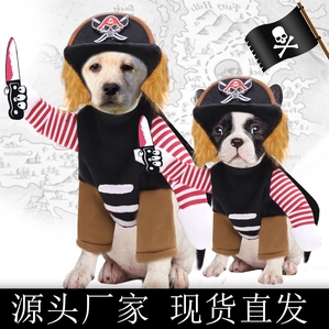 Dog Pirate Transformation Costume Weird pet Halloween costumes