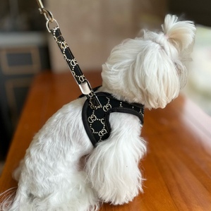 Reflective shock-absorbing explosion-proof dog walking chest harness for Labrador