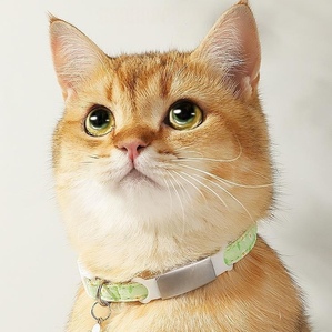 Engraved anti-lost cat and dog collar