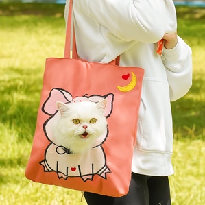 Cartoon lightweight portable canvas shoulder bag crossbody pet backpack