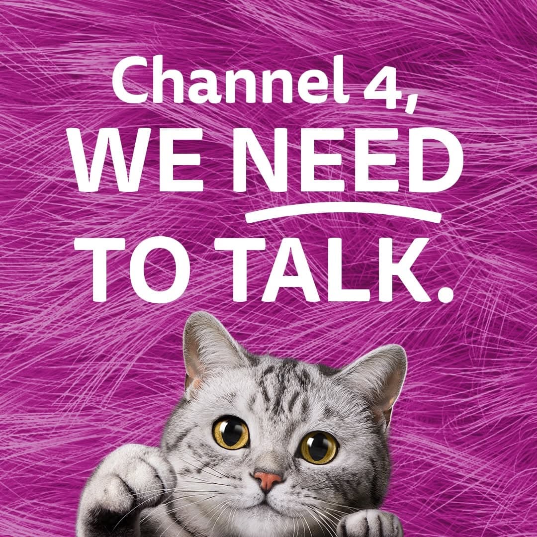 Whiskas — photo 3