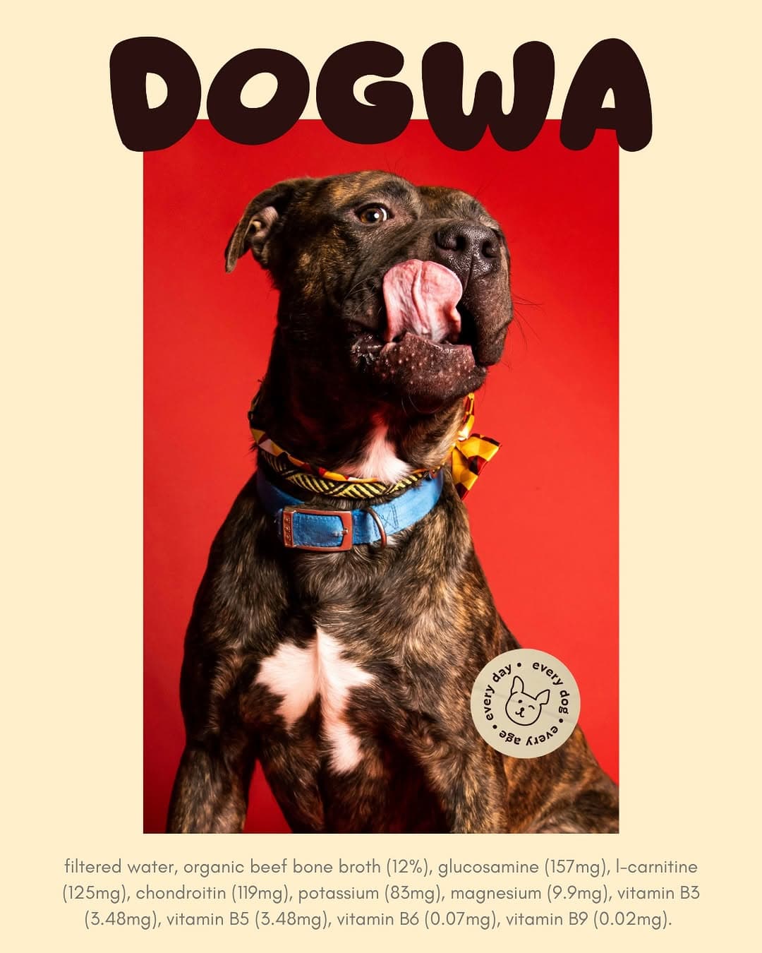 DOGWA — photo 6