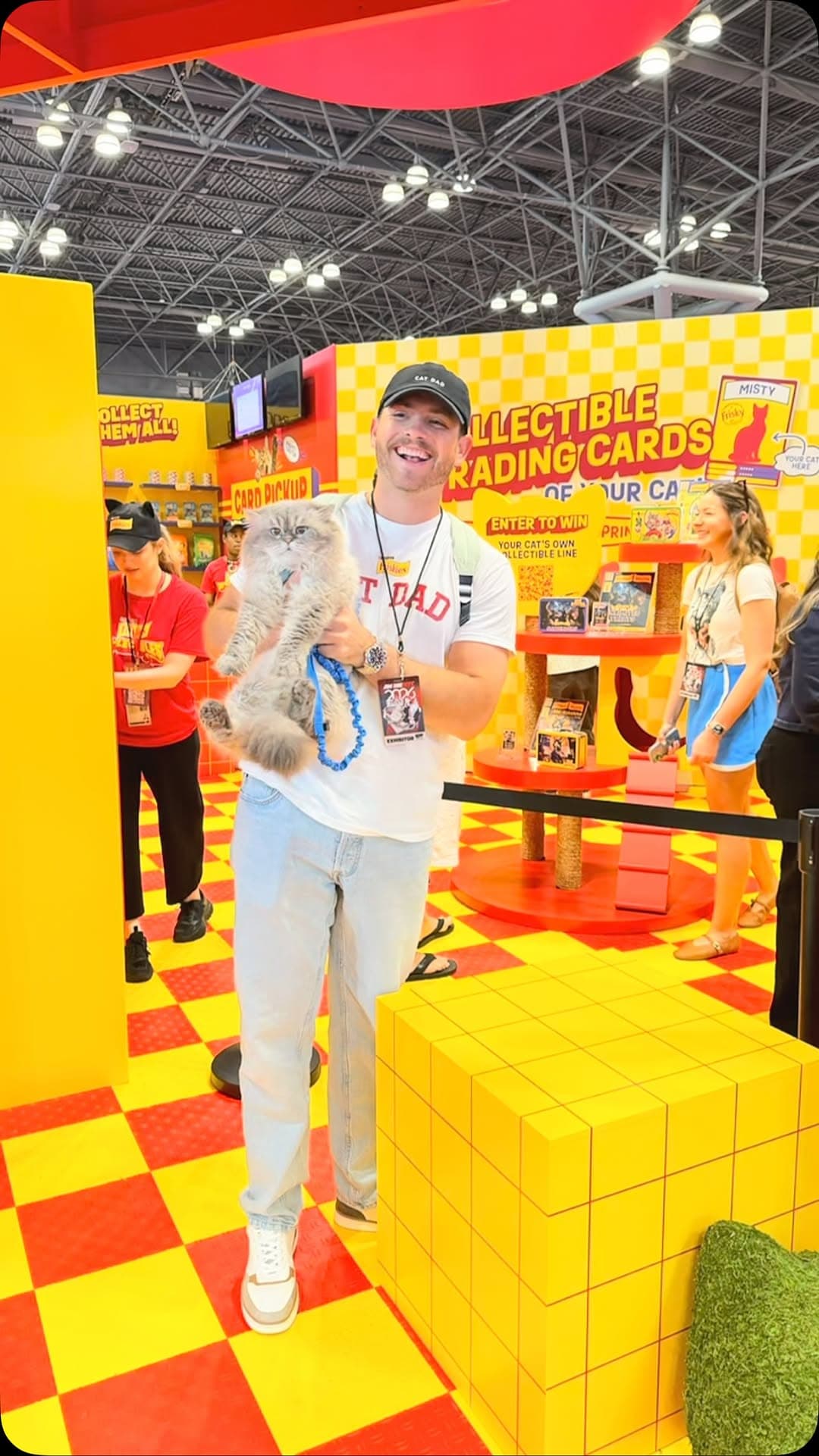 Friskies — photo 2