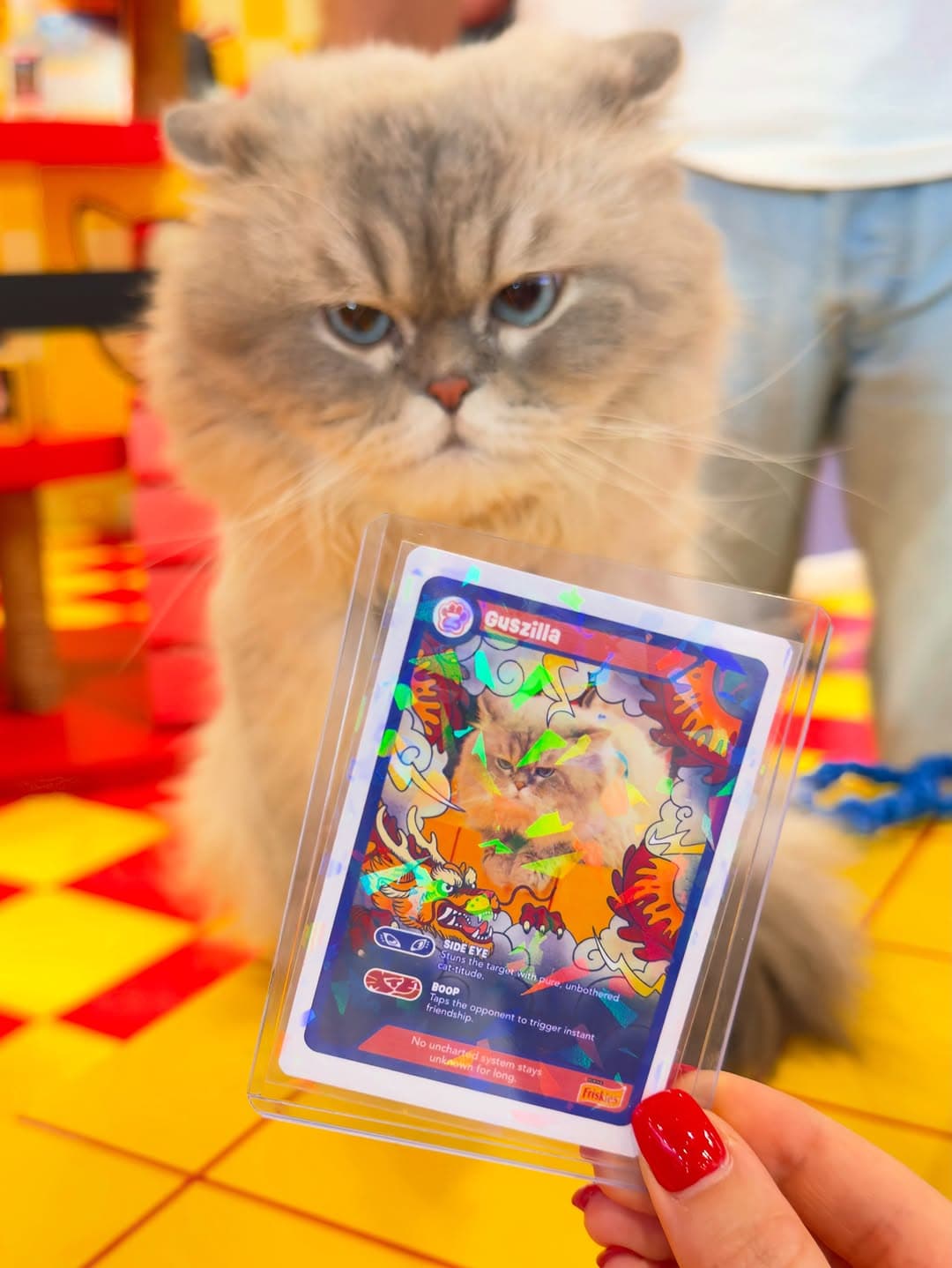 Friskies — photo 1