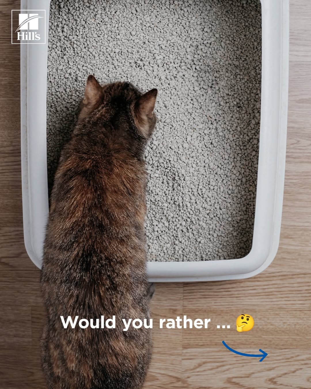 Hill's Pet Nutrition — photo 3
