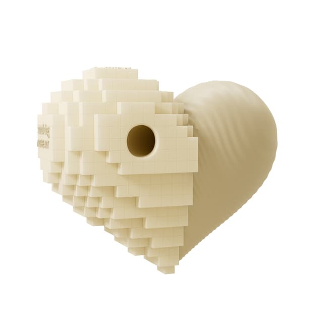 SANDDOG Art Heart Dog Toy — Melon