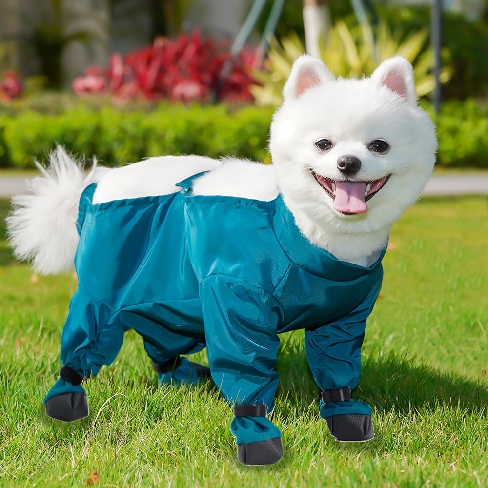 pet supplies and clothes Recommended